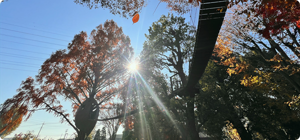 山梅の吊り橋
