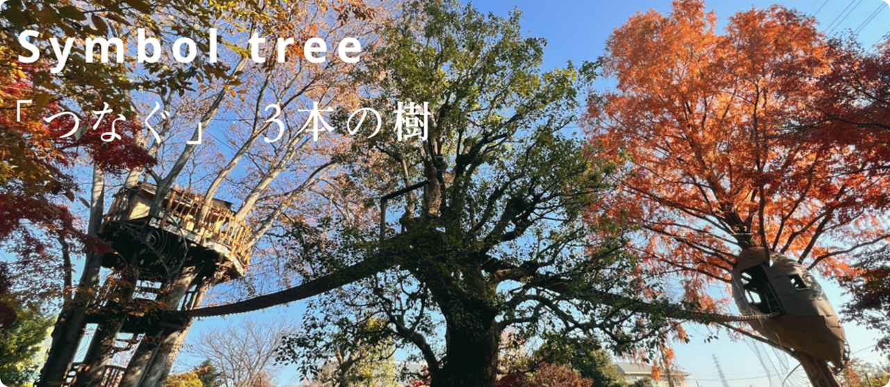 Symbol tree「つなぐ」3本の樹