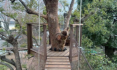 くすくすの見晴らし台